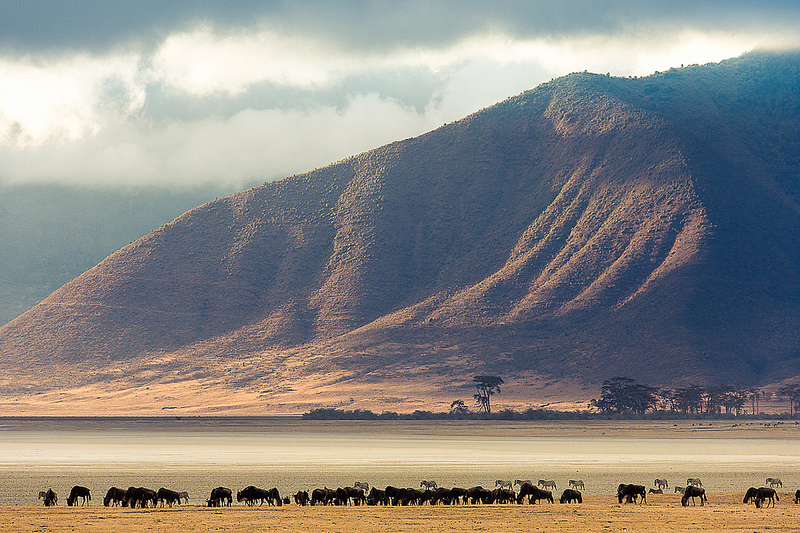 Cratere Du Ngorongoro Tanzanie Un Safari Inoubliable