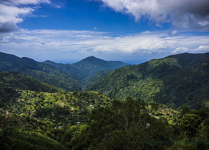 Blue Mountains Jamaïque Un Parc National époustouflant