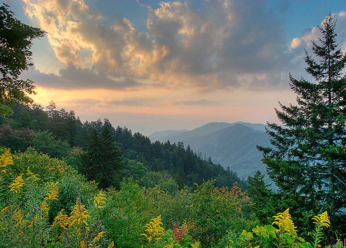 Parc national des Great Smoky Mountains : 5 raisons d'y ...